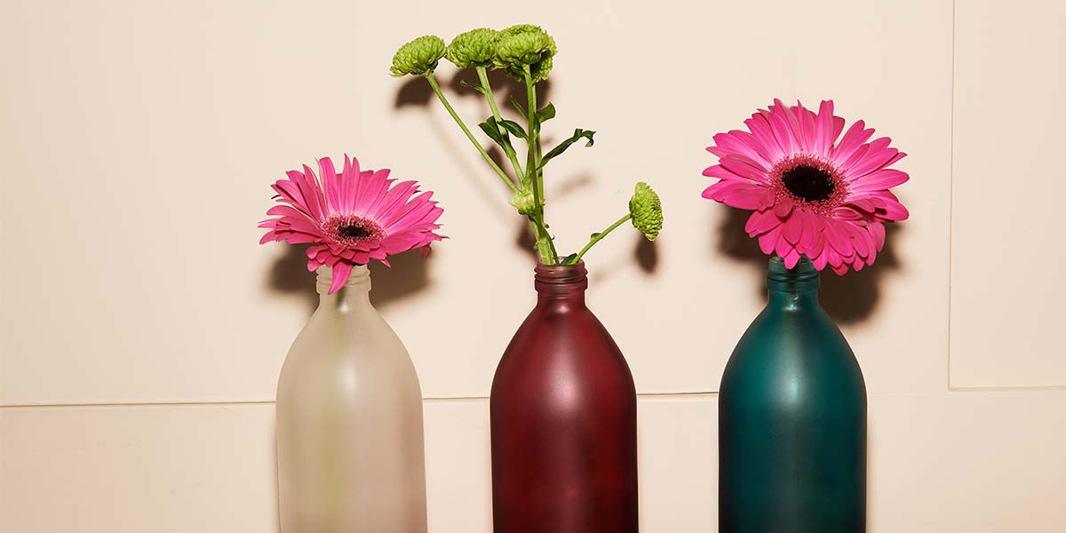White, burgundy and teal kair bottles with a pink flowers in each infront of a white wall 