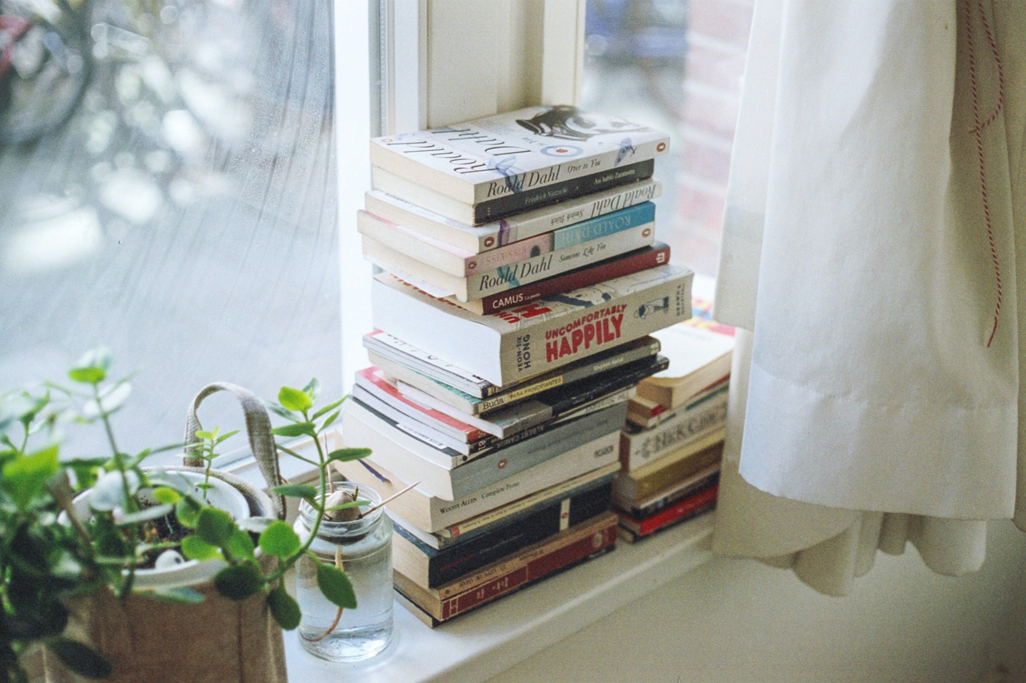 Pile of books on a shelf by a window next to a potted plant
